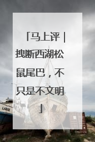 马上评｜拽断西湖松鼠尾巴，不只是不文明